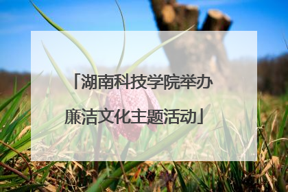 湖南科技学院举办廉洁文化主题活动