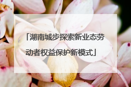 湖南城步探索新业态劳动者权益保护新模式
