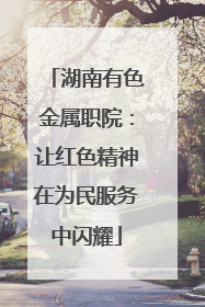 湖南有色金属职院：让红色精神在为民服务中闪耀