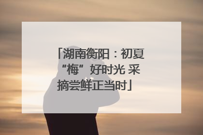 湖南衡阳：初夏“梅”好时光 采摘尝鲜正当时
