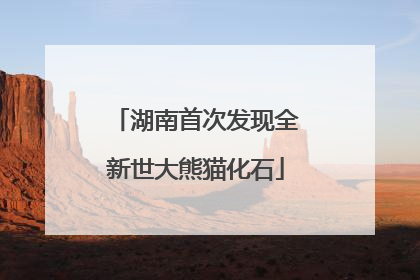 湖南首次发现全新世大熊猫化石