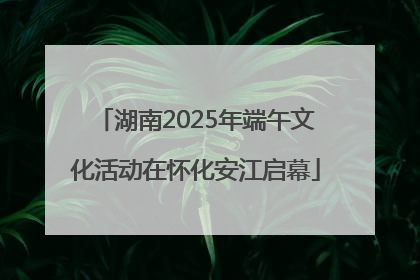 湖南2025年端午文化活动在怀化安江启幕