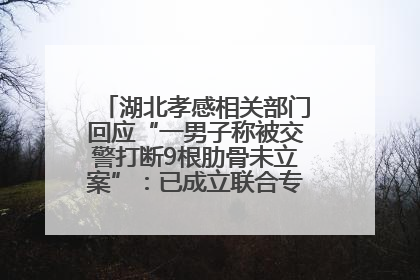 湖北孝感相关部门回应“一男子称被交警打断9根肋骨未立案”：已成立联合专班开展工作