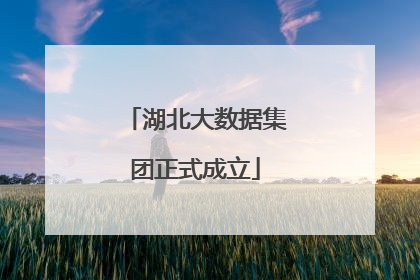 湖北大数据集团正式成立