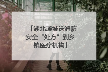 湖北通城送消防安全“处方”到乡镇医疗机构