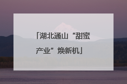 湖北通山“甜蜜产业”焕新机