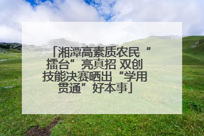 湘潭高素质农民“擂台”亮真招 双创技能决赛晒出“学用贯通”好本事