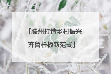 滕州打造乡村振兴齐鲁样板新范式