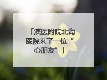 滨医附院北海医院来了一位“心朋友”