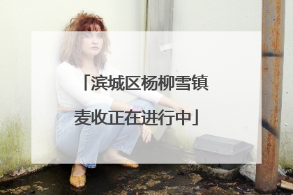 滨城区杨柳雪镇麦收正在进行中