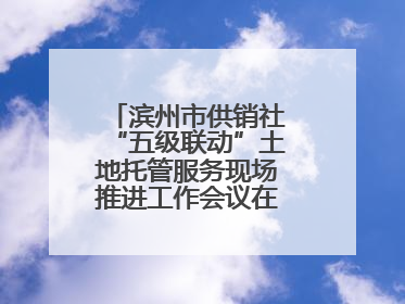 滨州市供销社“五级联动”土地托管服务现场推进工作会议在无棣县举办