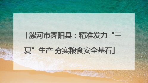 漯河市舞阳县：精准发力“三夏”生产 夯实粮食安全基石