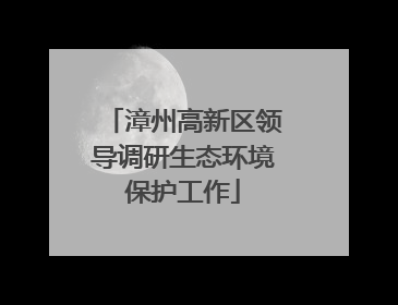 漳州高新区领导调研生态环境保护工作
