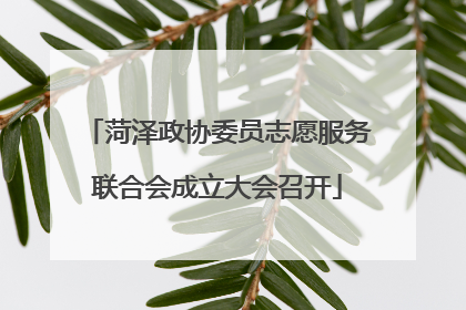 菏泽政协委员志愿服务联合会成立大会召开
