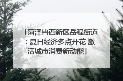 菏泽鲁西新区岳程街道：夏日经济多点开花 激活城市消费新动能