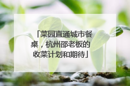 菜园直通城市餐桌，杭州邵老板的收菜计划和期待