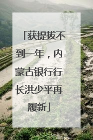 获提拔不到一年，内蒙古银行行长洪少平再履新