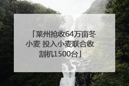 莱州抢收64万亩冬小麦 投入小麦联合收割机1500台