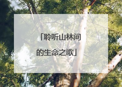 聆听山林间的生命之歌