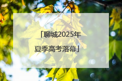 聊城2025年夏季高考落幕