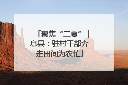 聚焦“三夏”｜息县：驻村干部奔走田间为农忙