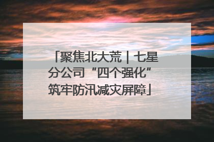 聚焦北大荒｜七星分公司“四个强化”筑牢防汛减灾屏障