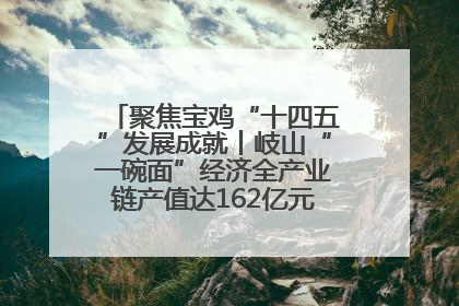 聚焦宝鸡“十四五”发展成就丨岐山“一碗面”经济全产业链产值达162亿元 入选全国典型县