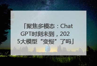 聚焦多模态：ChatGPT时刻未到，2025大模型“变慢”了吗
