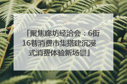 聚焦廊坊经洽会：6街16巷消费市集搭建沉浸式消费体验新场景
