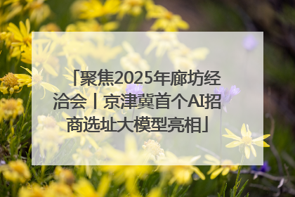 聚焦2025年廊坊经洽会丨京津冀首个AI招商选址大模型亮相