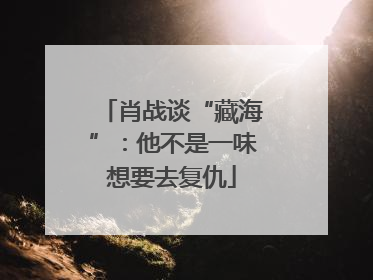 肖战谈“藏海”：他不是一味想要去复仇