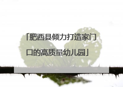 肥西县倾力打造家门口的高质量幼儿园