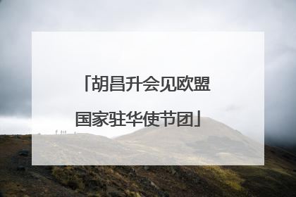 胡昌升会见欧盟国家驻华使节团