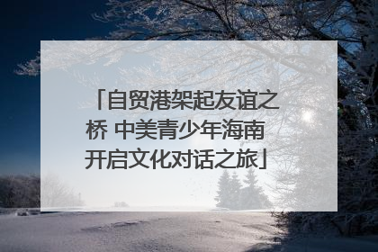自贸港架起友谊之桥 中美青少年海南开启文化对话之旅