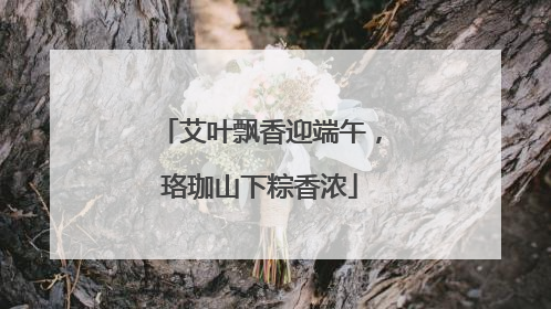 艾叶飘香迎端午，珞珈山下粽香浓