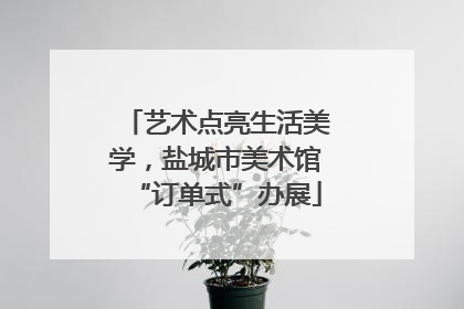 艺术点亮生活美学，盐城市美术馆“订单式”办展