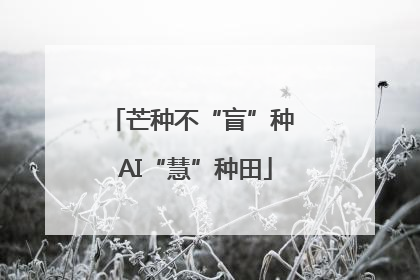 芒种不“盲”种 AI“慧”种田