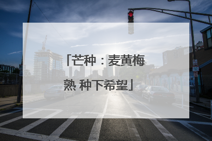 芒种：麦黄梅熟 种下希望