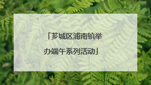芗城区浦南镇举办端午系列活动