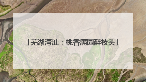 芜湖湾沚：桃香满园醉枝头