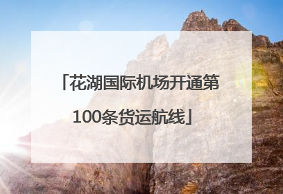花湖国际机场开通第100条货运航线