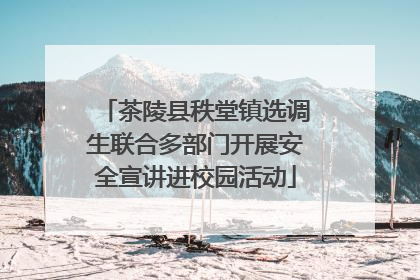 茶陵县秩堂镇选调生联合多部门开展安全宣讲进校园活动