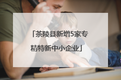 茶陵县新增5家专精特新中小企业