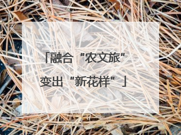 融合“农文旅” 变出“新花样”