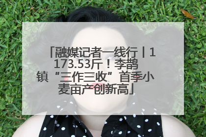融媒记者一线行丨1173.53斤！李鹊镇“三作三收”首季小麦亩产创新高