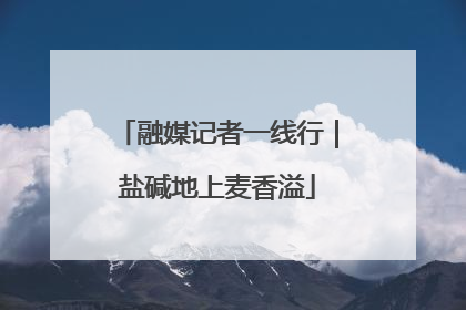 融媒记者一线行｜盐碱地上麦香溢