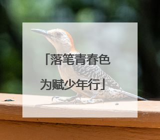 落笔青春色 为赋少年行