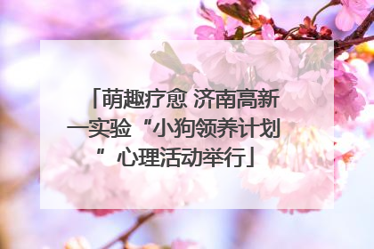 萌趣疗愈 济南高新一实验“小狗领养计划”心理活动举行