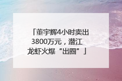 董宇辉4小时卖出3800万元，潜江龙虾火爆“出圈”