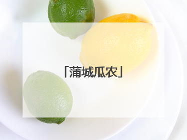 蒲城瓜农